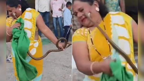 VIDEO: नागिन का खौफनाक बदला...दीदी करने चली थी काबू, लेकिन फुफकार कर पकड़ा गाल और गड़ा दिए दांत