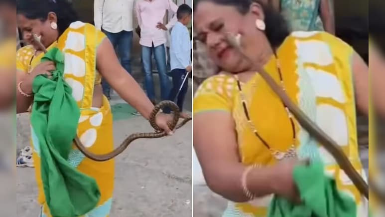 VIDEO: नागिन का खौफनाक बदला...दीदी करने चली थी काबू, लेकिन फुफकार कर पकड़ा गाल और गड़ा दिए दांत