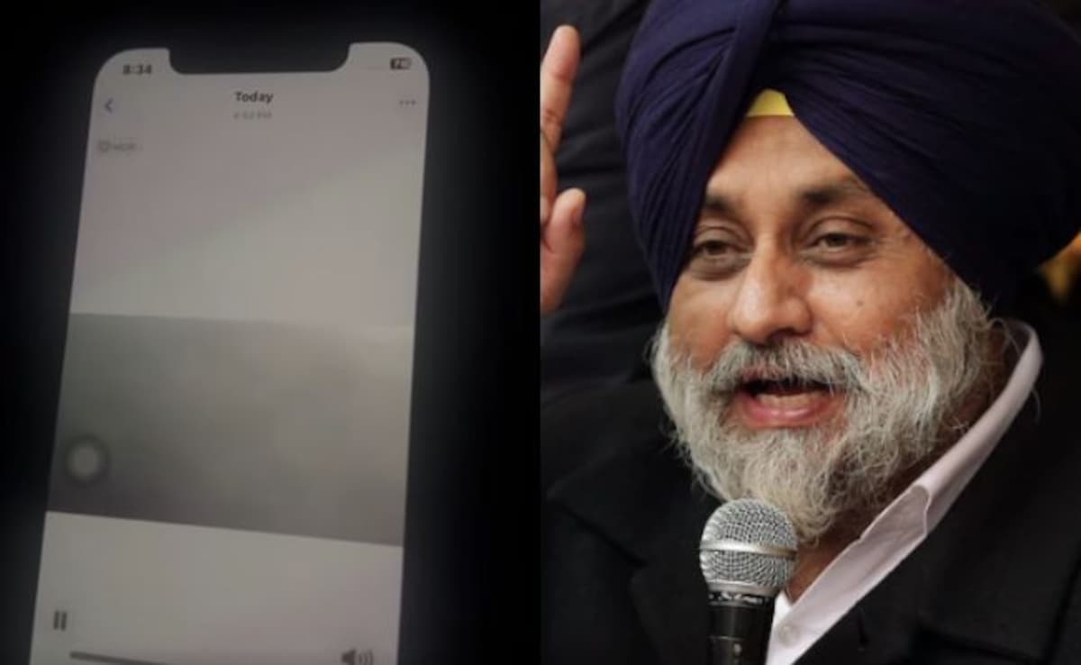 Akali Dal Shares 'Leaked Audio Clip' Of Poll Rigging In Punjab, Cops Respond