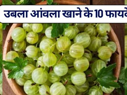 उबला आंवला खाने के 10 फायदे, एक बार पढ़ लिए तो दिमाग और क‍िचन से कभी नहीं न‍िकलेंगे आंवला