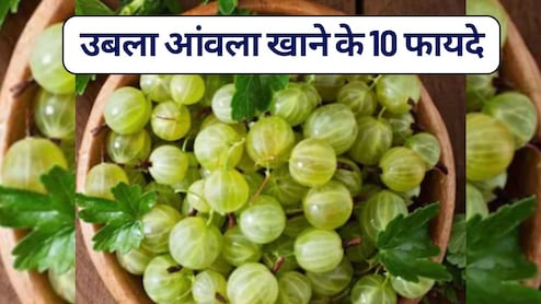 उबला आंवला खाने के 10 फायदे, एक बार पढ़ लिए तो दिमाग और क&zwj;िचन से कभी नहीं न&zwj;िकलेंगे आंवला