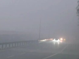 MP में कड़ाके की ठंड और घना कोहरा, 18 शहरों में सुबह भी 'अंधेरा', रीवा में सबसे कम विजिबिलिटी, यहां पारा 3 डिग्री से कम