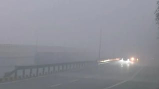 MP में कड़ाके की ठंड और घना कोहरा, 18 शहरों में सुबह भी 'अंधेरा', रीवा में सबसे कम विजिबिलिटी