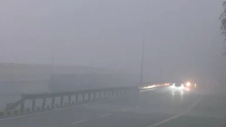 दिल्ली-NCR में कोहरा ही कोहरा, अगर वॉक पर जा रहे हैं तो न करें ये गलती, रखें ये 2 चीजें अपने पास