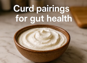 What To Have With Curd For Better Gut Health In Winter