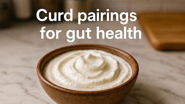What To Have With Curd For Better Gut Health In Winter