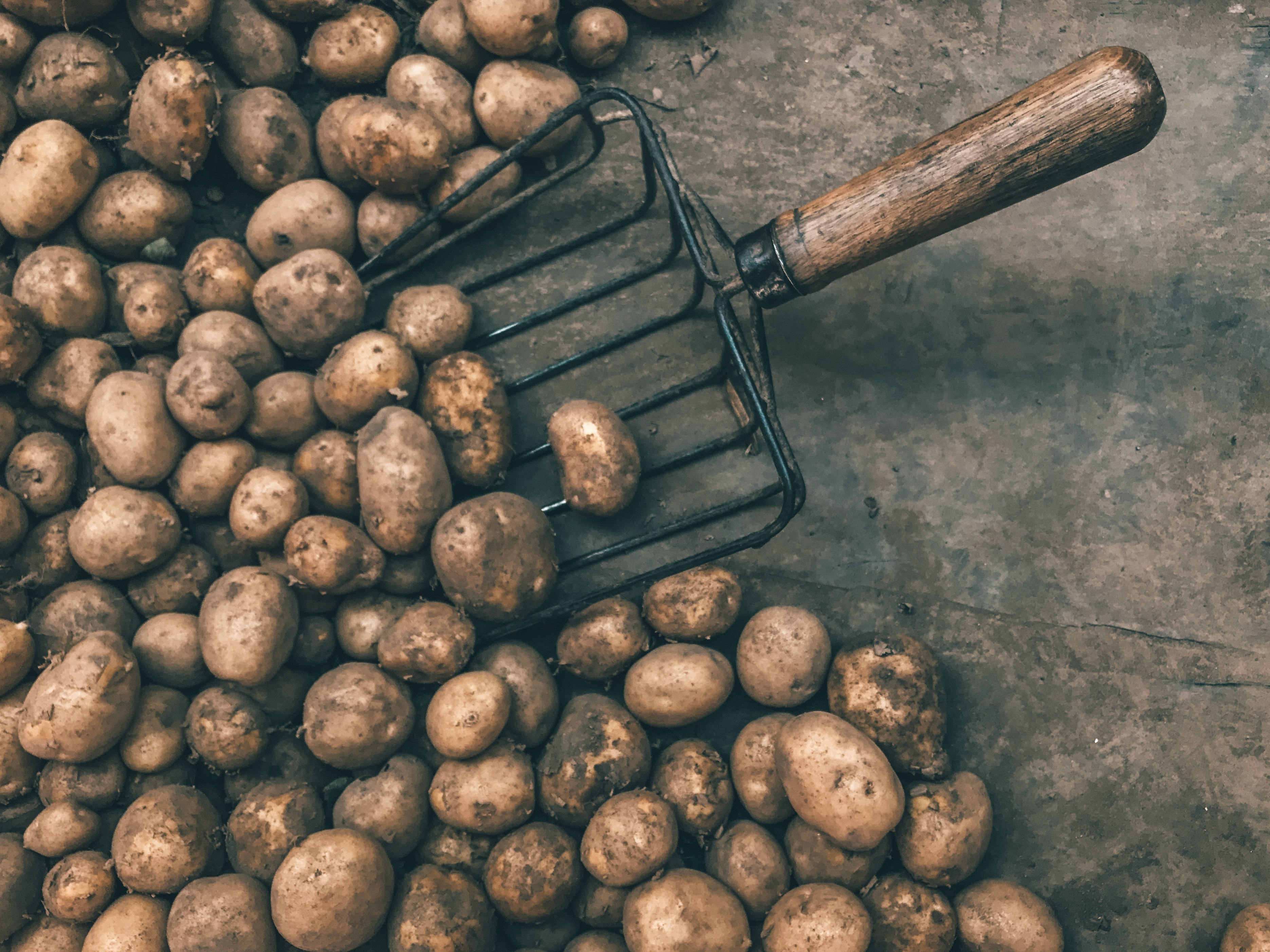 Potatoes, Not Onions, Are Making Indians Cry This Winter &mdash;Here&rsquo;s Why
