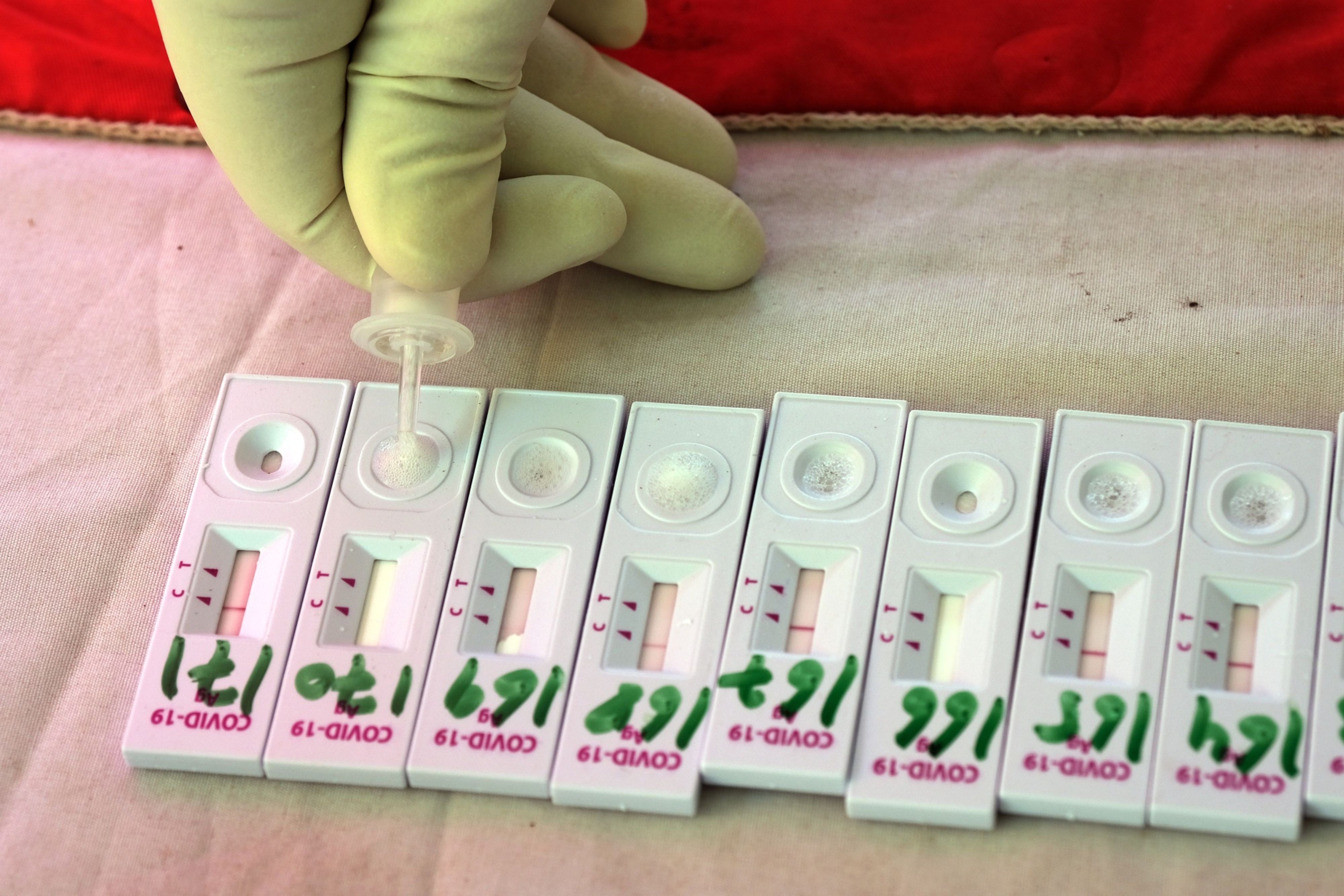 Coronavirus India Updates: Total Tally Nears 65 Lakh With More Than 1 Lakh Dead 