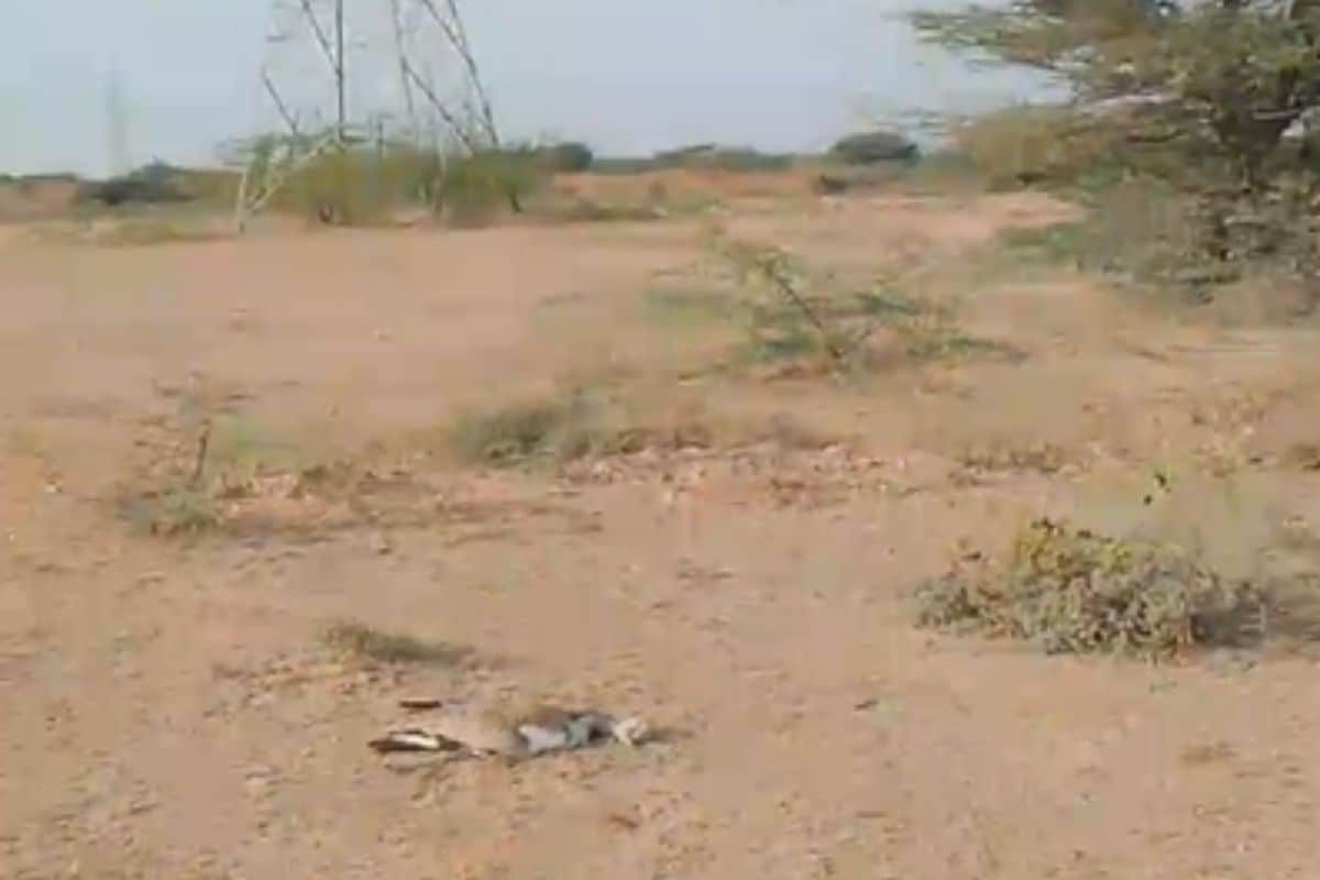 Add image caption here