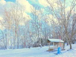 5 Offbeat Destinations In Japan Indian Travellers Are Choosing Over Big Cities