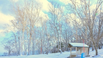 5 Offbeat Destinations In Japan Indians Are Choosing Over Big Cities