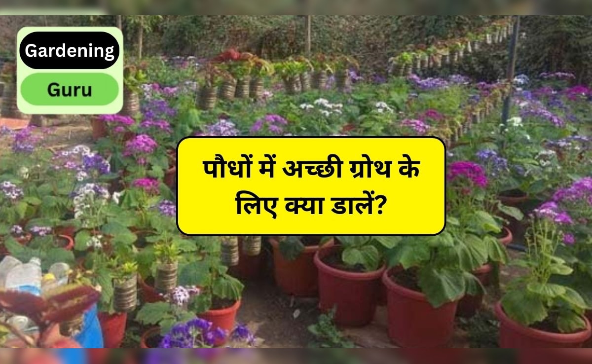 Story image