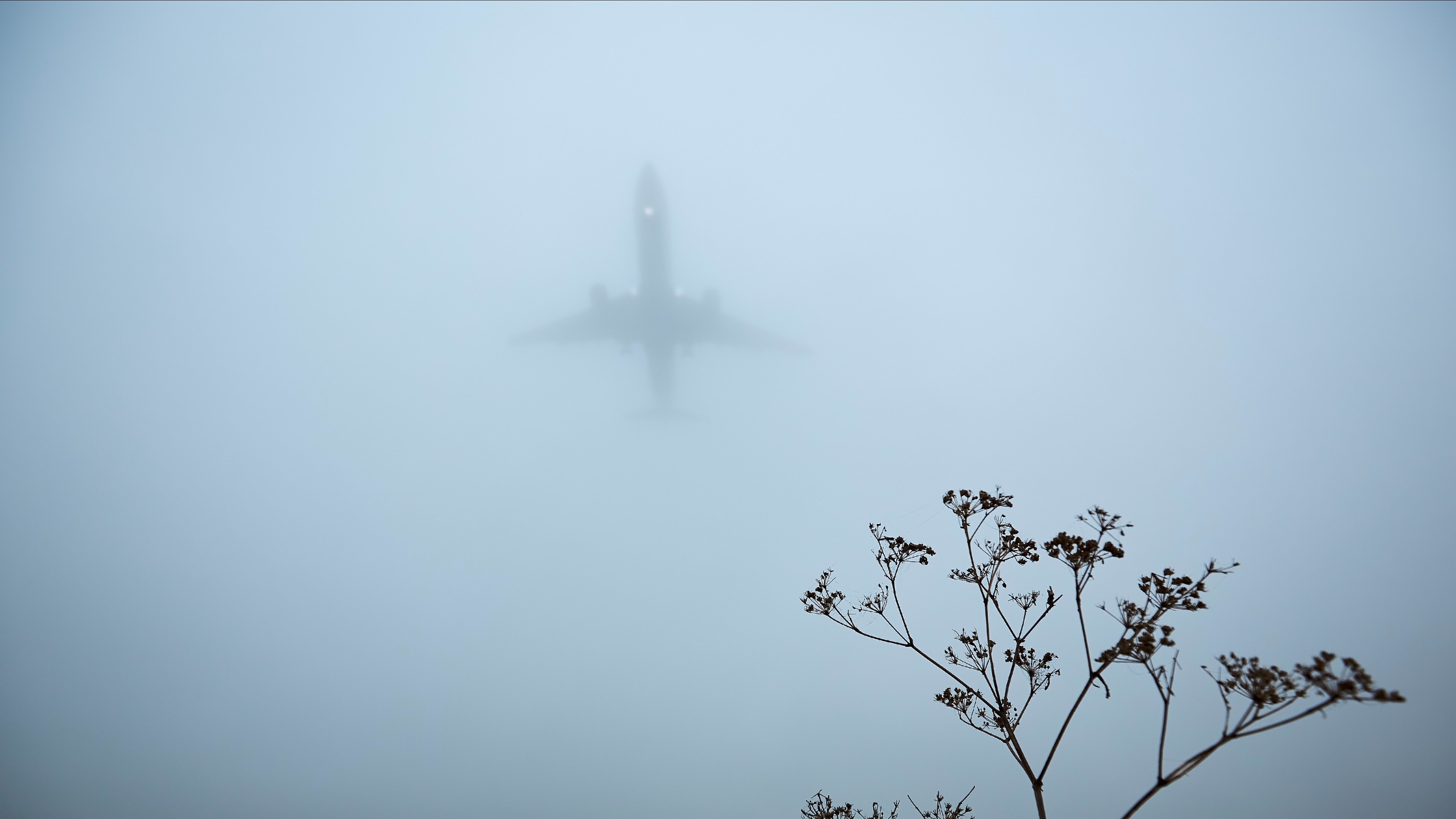 Departure Of 10 Flights From Kolkata Airport Delayed By Dense Fog