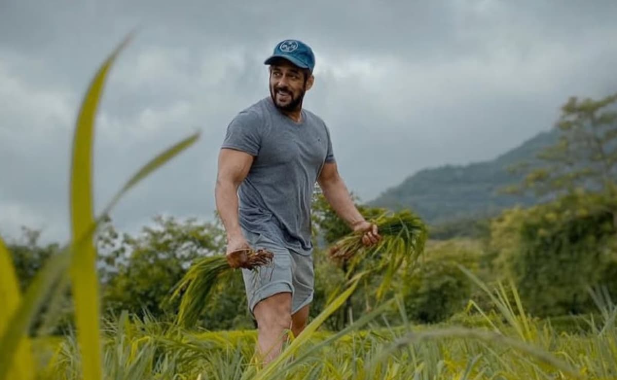 Salman Khan's Rs 80 Crore Panvel Farmhouse: Gym, Pool, Lush Green Farms