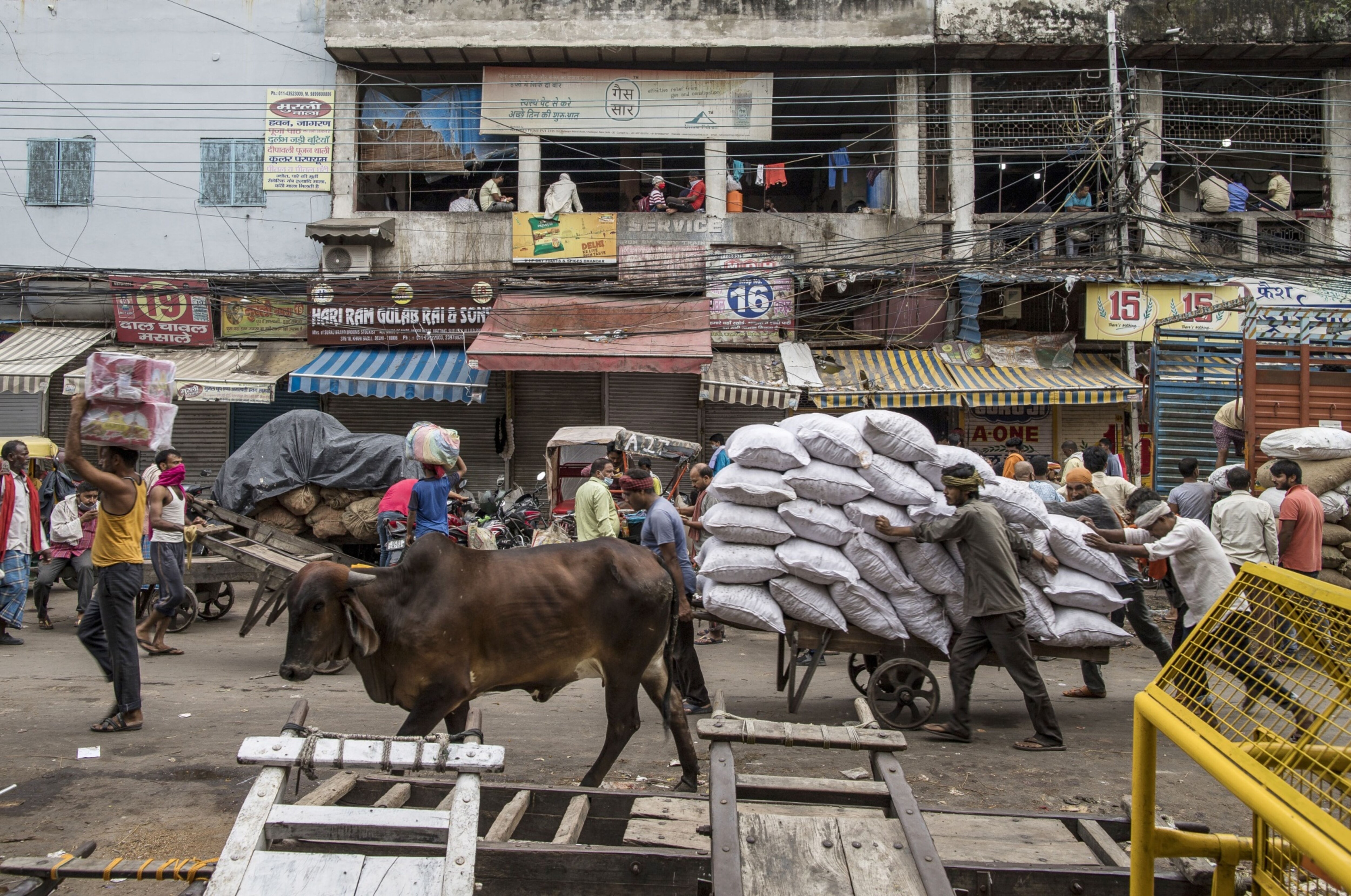 How Rural Jobs Scheme Can Be Improved To Help Returnee Migrants, Stem Distress Migration &nbsp;