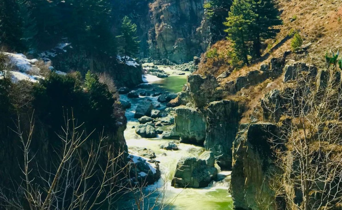 Latest and Breaking News on NDTV Latest and Breaking News on NDTV