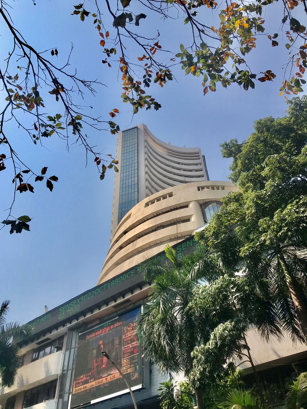 Sensex, Nifty Close Lower As Traders Await Key Results: Market Wrap
