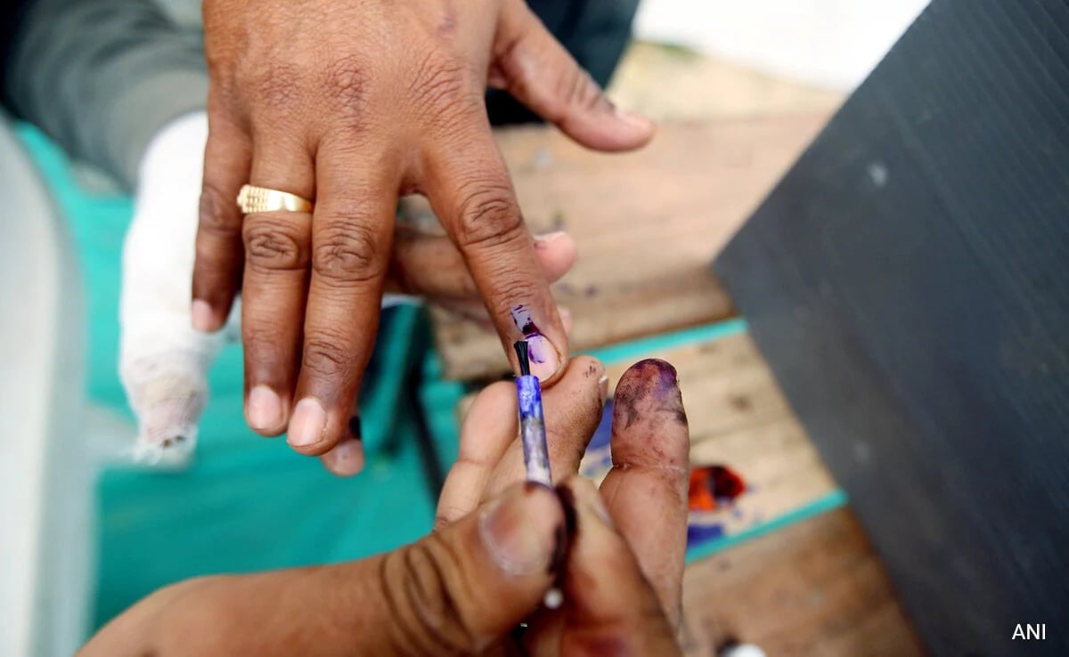 Mumbai Civic Polls: 44 Nomination Papers Filed Till Sat; 10,343 Forms Distributed