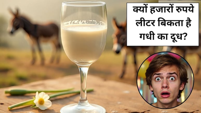 7500 रुपये लीटर बिकता है गधी का दूध, जानें ऐसा क्‍या है खास, गधी के दूध के फायदे और नुकसान