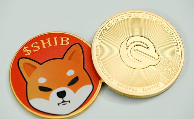 Is Saudi Shiba Inu A Smart Investment? Or Is Tamadoge A Superior Choice?