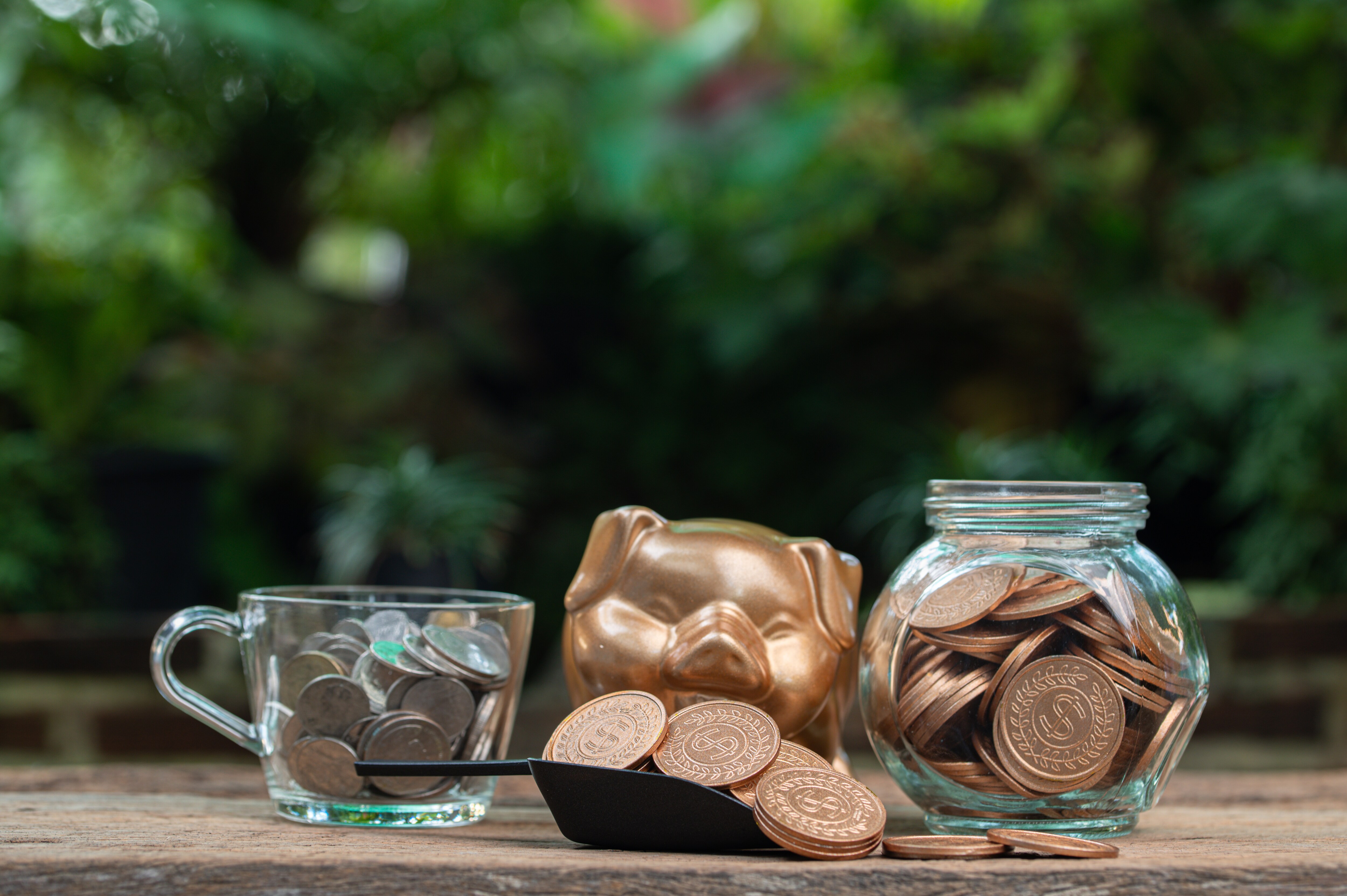 AMFI Launches Initiatives To Spur Mutual Fund Investment