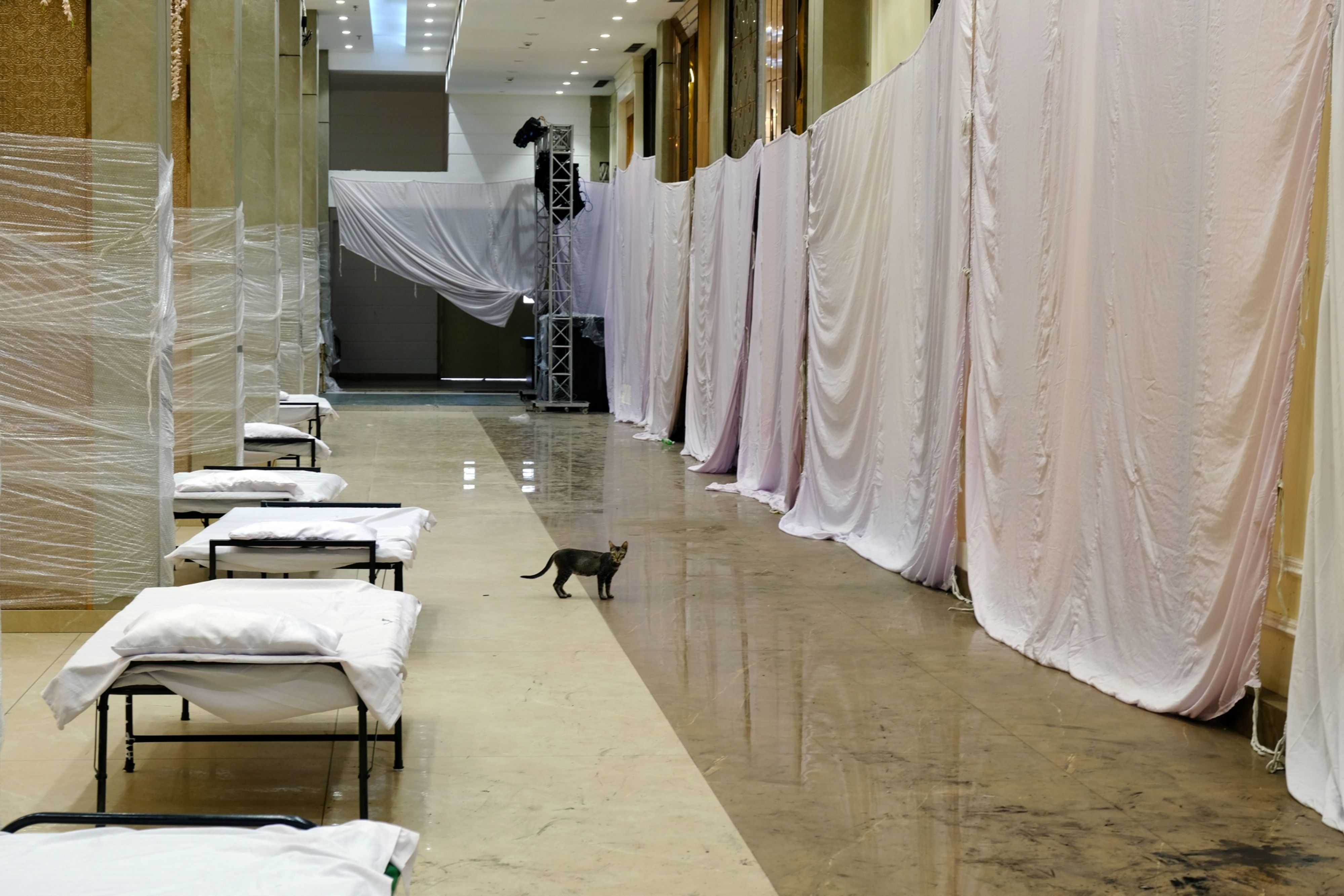 SBI Research: Eco Wrap - The Good, The Bad And The Ugly