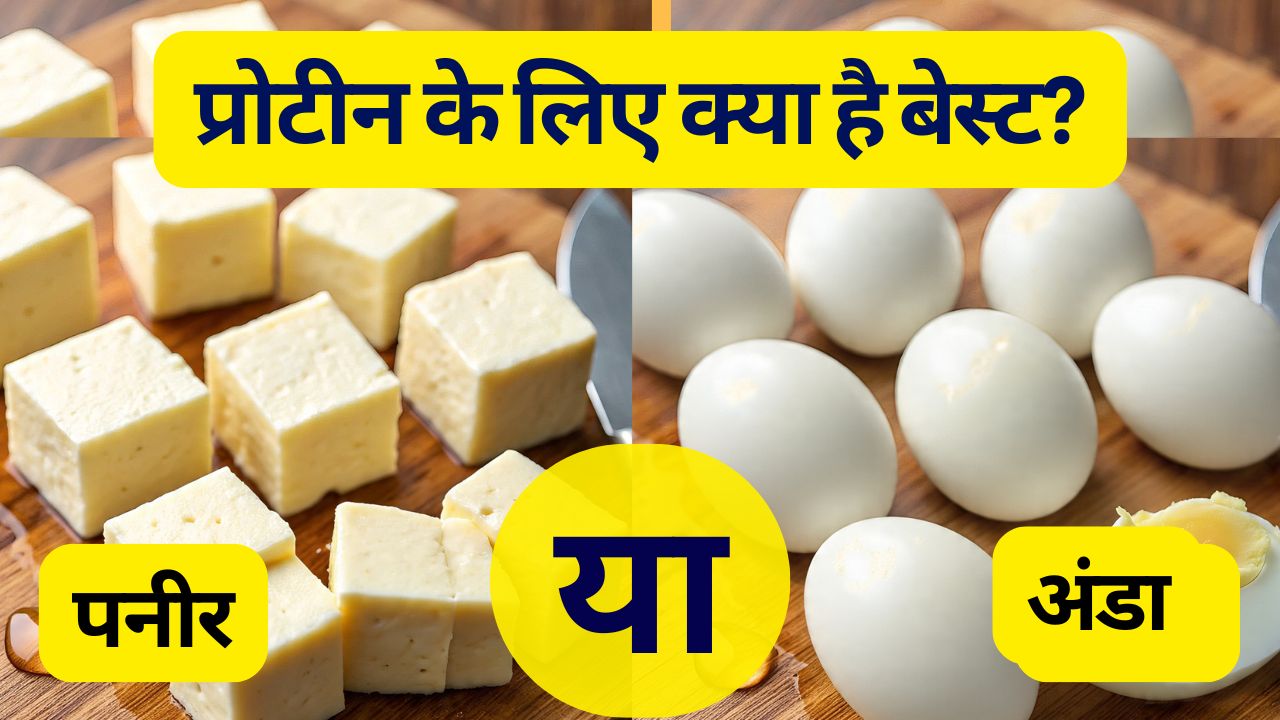 Paneer vs Eggs: पनीर खाऊं या अंडा, प्रोटीन के लिए क्या है बेस्ट? जानिए किसकी ताकत है ज्यादा!