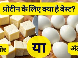 Paneer vs Eggs: पनीर खाऊं या अंडा, प्रोटीन के लिए क्या है बेस्ट? जानिए किसकी ताकत है ज्यादा!