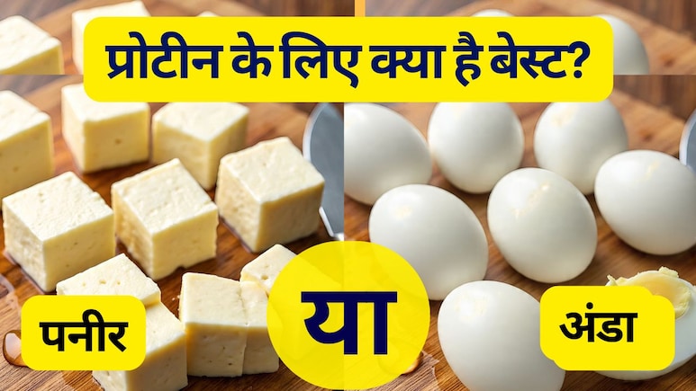Paneer vs Eggs: पनीर खाऊं या अंडा, प्रोटीन के लिए क्या है बेस्ट? जानिए किसकी ताकत है ज्यादा!