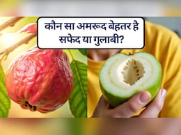 White Guava vs Red/Pink Guava:  कौन सा अमरूद बेहतर है, सफेद या गुलाबी? डायबिटीज और वज़न घटाने के लिए बेस्ट अमरूद