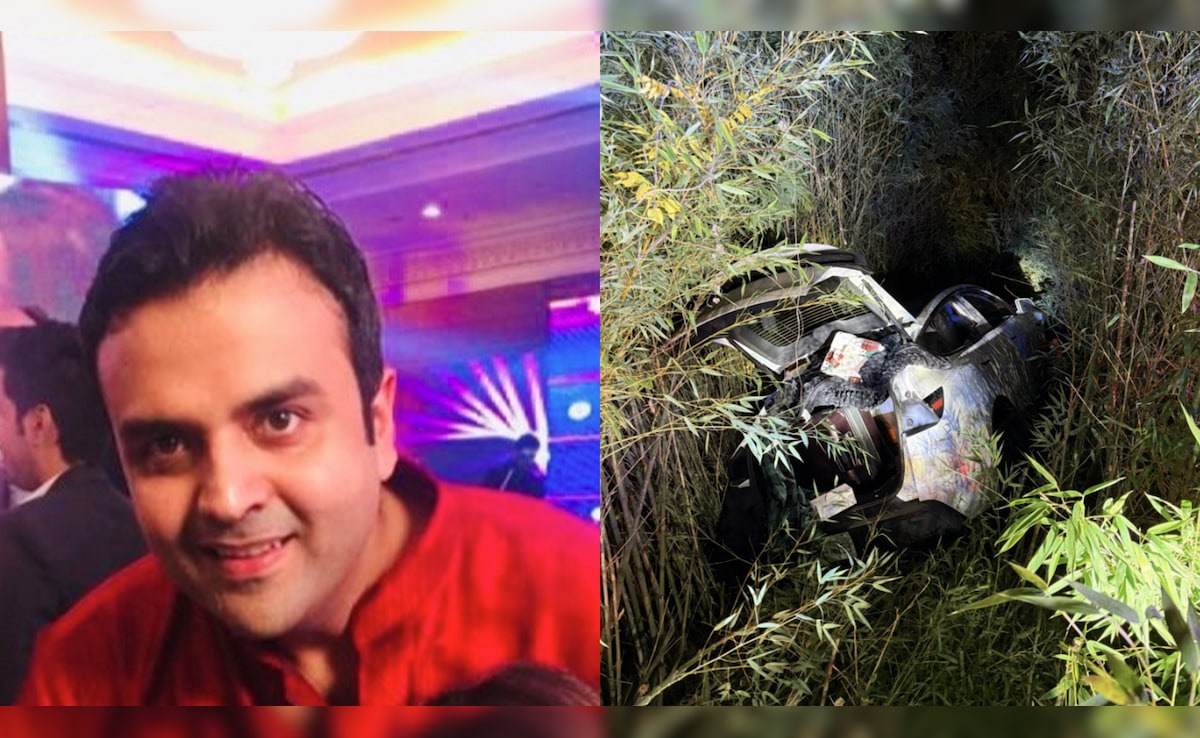 Who Is Vikram Beri, Indian-Origin Millionaire Arrested For Crashing Tesla, Arson