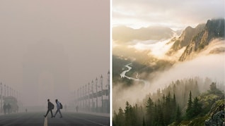 पहाड़ों का कोहरा खूबसूरत और शहर में बन जाता है खतरनाक, जानें दोनों में क्या है अंतर