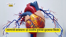 Heart Attack Symptoms: तरुणांमध्ये हार्ट अटॅकसाठी ब्लॉकेज नव्हे तर Plaque Rupture कारणीभूत, म्हणजे नेमकं काय? या 6 लोकांना जास्त धोका