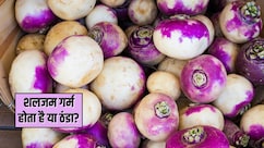 शलजम गर्म होता है या ठंडा? शलजम खाने से क्या फायदा होता है, जानिए यहां