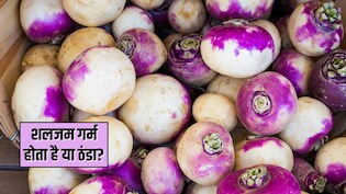 शलजम गर्म होता है या ठंडा? शलजम खाने से क्या फायदा होता है, जानिए यहां