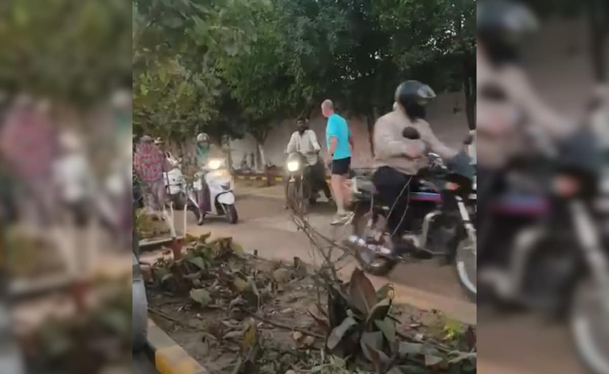 The Art of Baking: From Classic Bread to Artisan Pastries