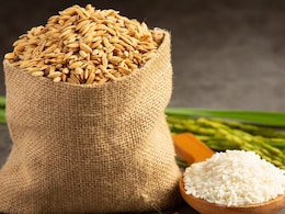 White Rice Vs Brown Rice Vs Red Rice: Which Is Healthier For Your Family?