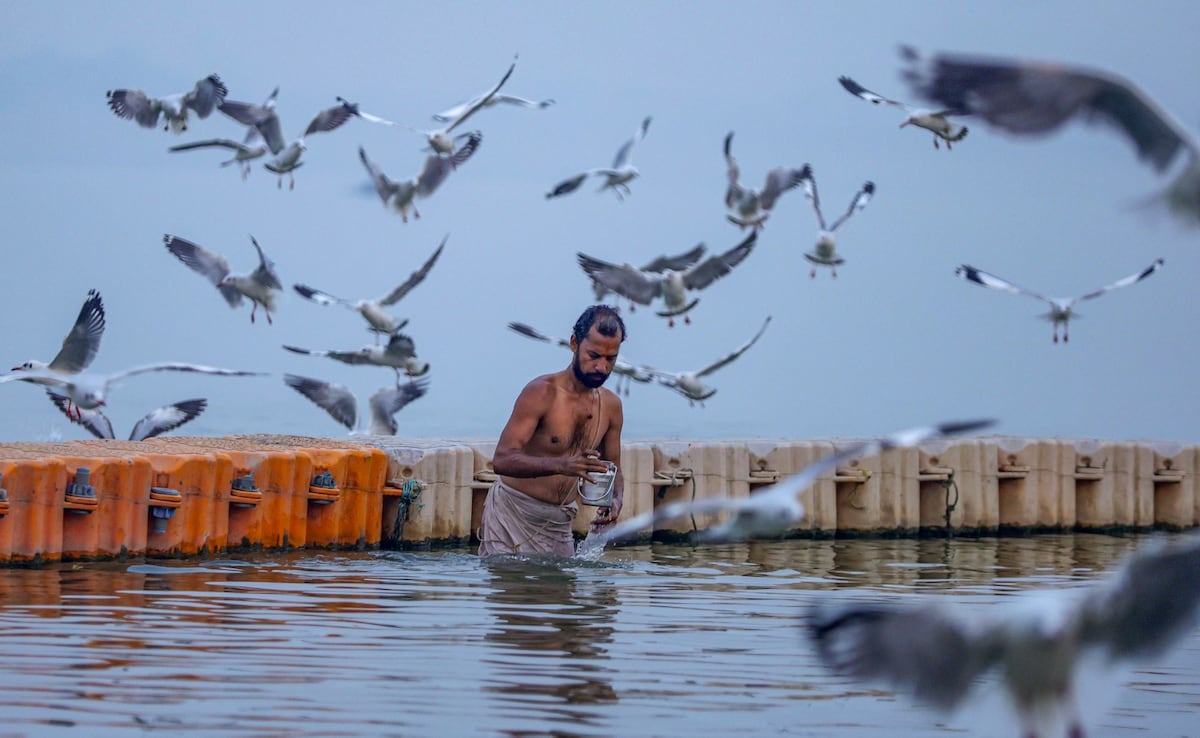 Prayagraj News Prayagraj News