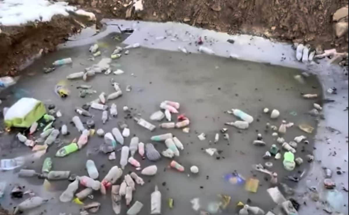 Forest Officer Condemns Tourist Littering at Himachal Pradesh Pilgrimage Site