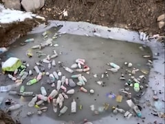 Forest Officer Slams Tourists For Littering Himachal Hills. Tips For Proper Waste Disposal