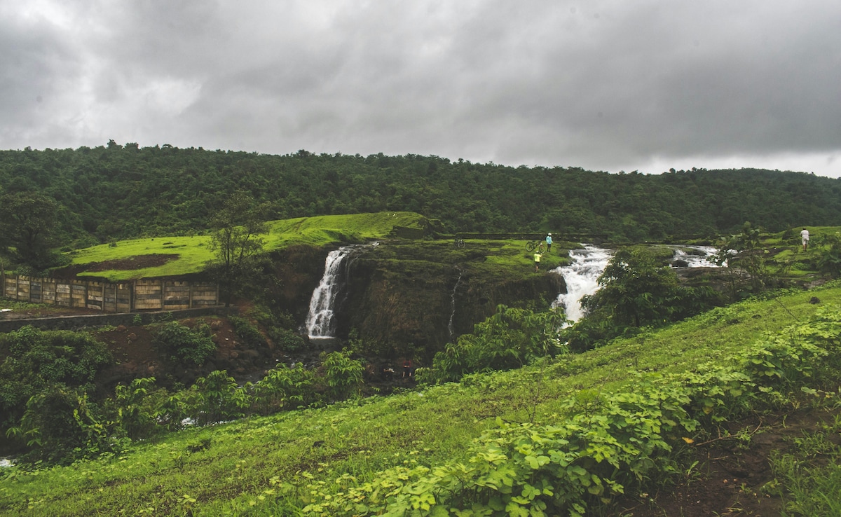 Latest and Breaking News on NDTV Latest and Breaking News on NDTV