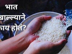 भात खाल्ल्याने काय होतं? वजन कमी करायला कोणता तांदूळ खावा? जेवणामुळे वजन लवकर घटतं?