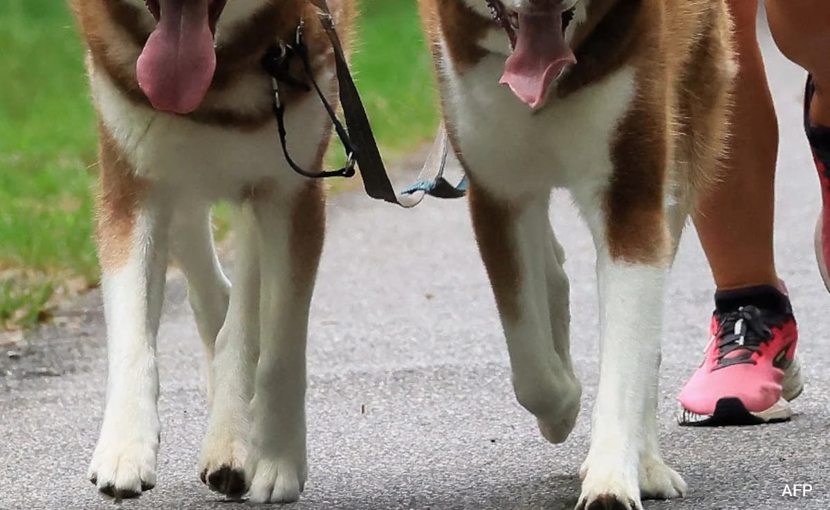 Abtak.com - Other - News Image