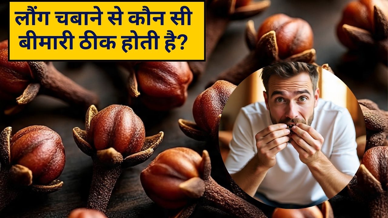 30 दिन तक रोजाना लौंग चबाने से क्‍या होगा, कैसी होती है लौंग की तासीर गर्म या ठंडी?