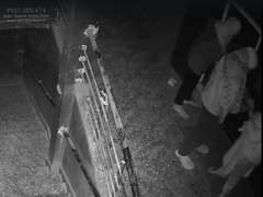 'बंटी-बबली' गैंग ने सीवान में रेस्टोरेंट को बनाया निशाना, CCTV में कैद हुई चोरी की वारदात, देखें वीडियो