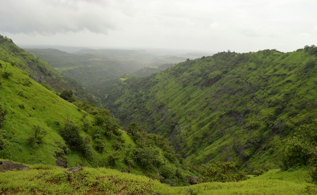 Latest and Breaking News on NDTV Latest and Breaking News on NDTV