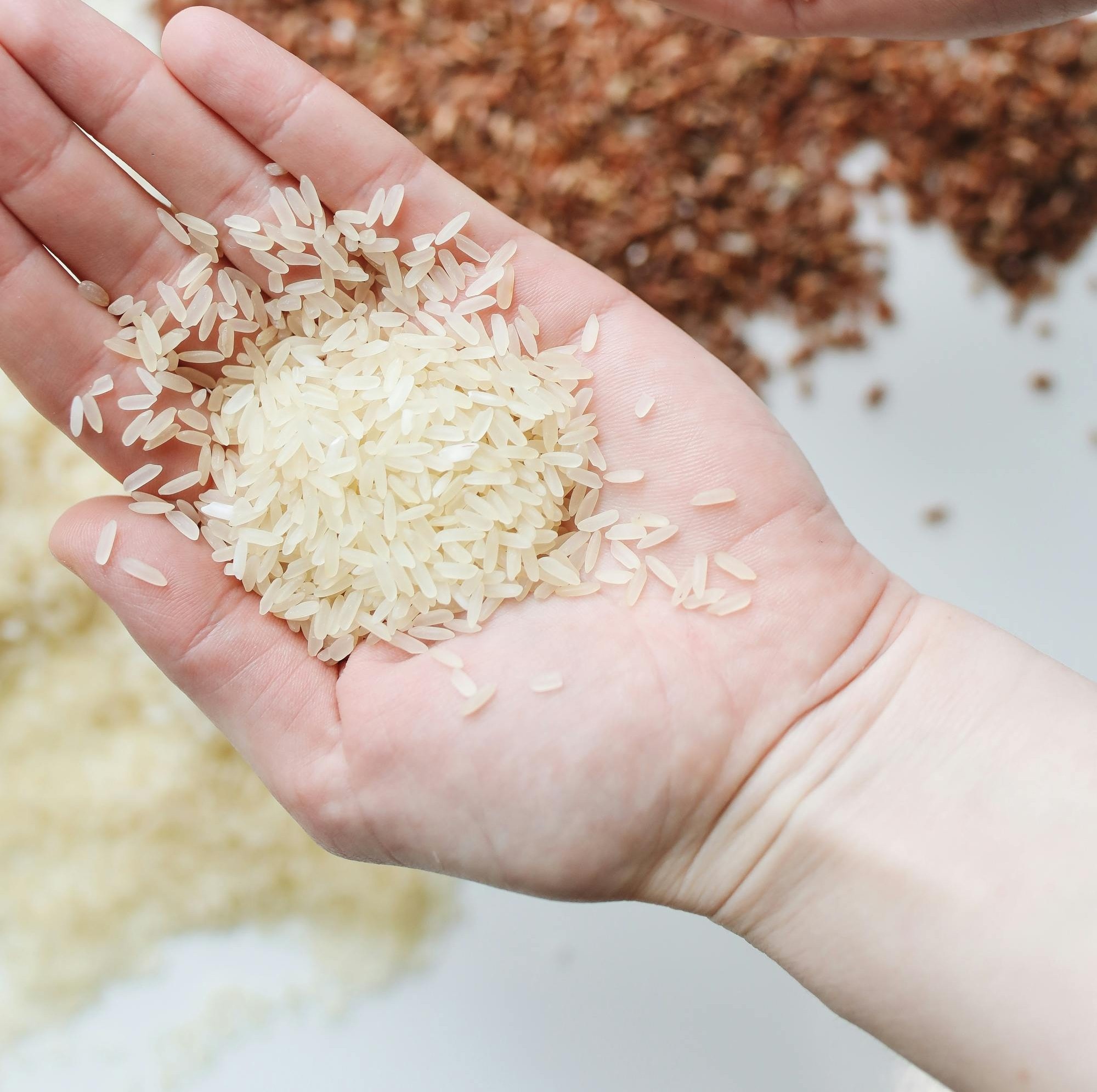 Chaman Lal Setia Exports MD Finds $490 Price Cap On Non-Basmati White Rice Exports Fair