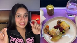 Blogger Pays Rs 4 Lakh For Air India Business Class Flight, Finds Dead Flies. Viral Video