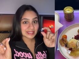 Blogger Pays Rs 4 Lakh For Air India Business Class Flight, Finds Dead Flies. Viral Video