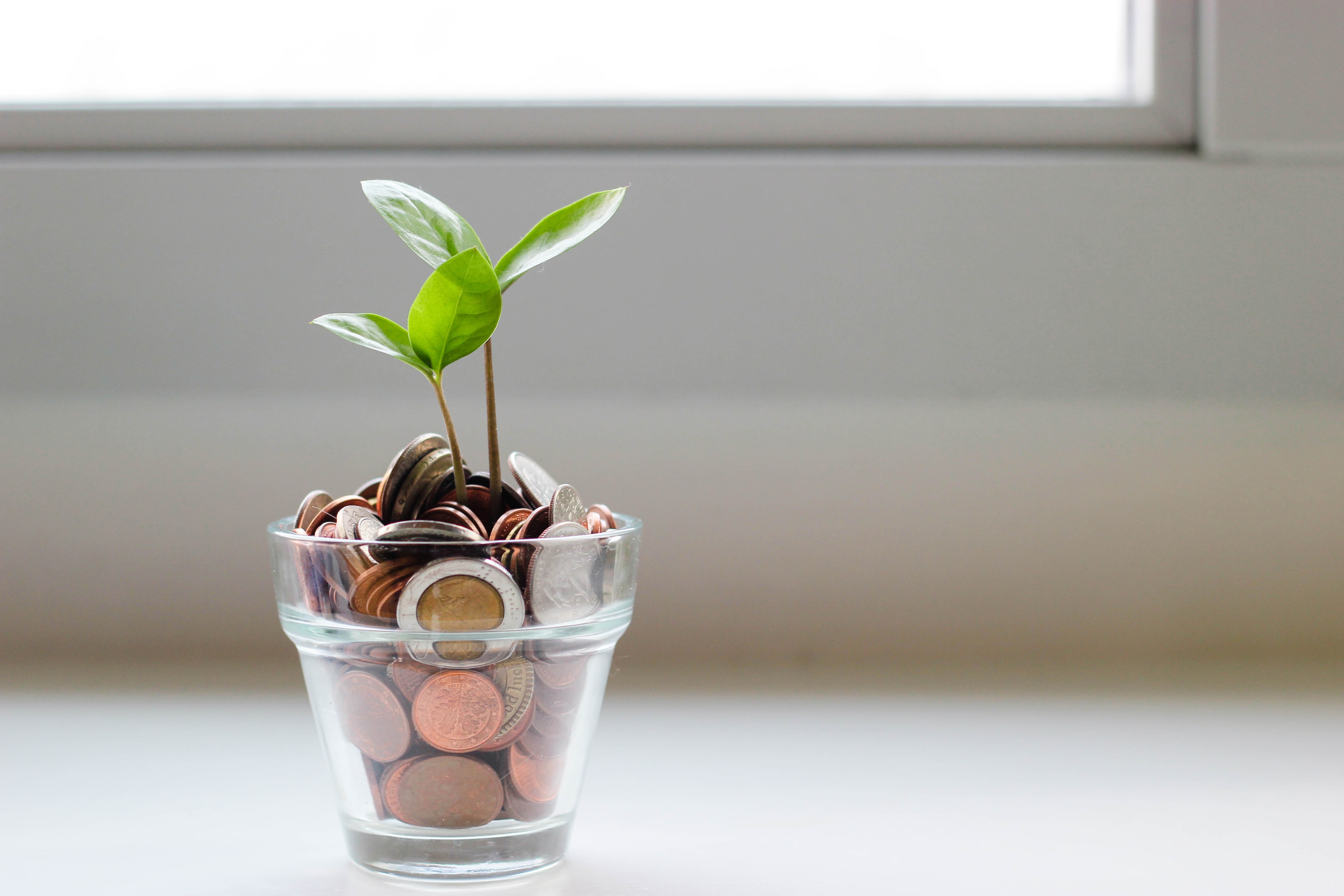 Great Learning Posts 23% Revenue Growth At $118 Million For FY24